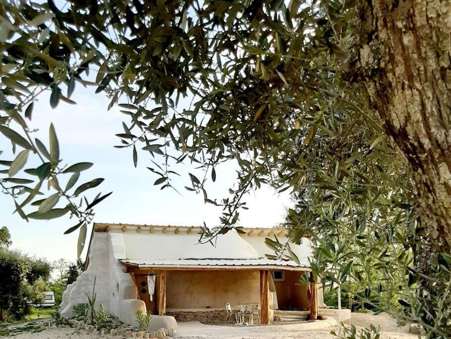 Quinta Terramadome: Dome Incomum & Responsavel Villa Penamacor Luaran gambar
