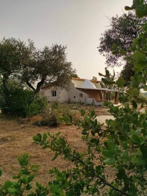 Quinta Terramadome: Dome Incomum & Responsavel Villa Penamacor Luaran gambar